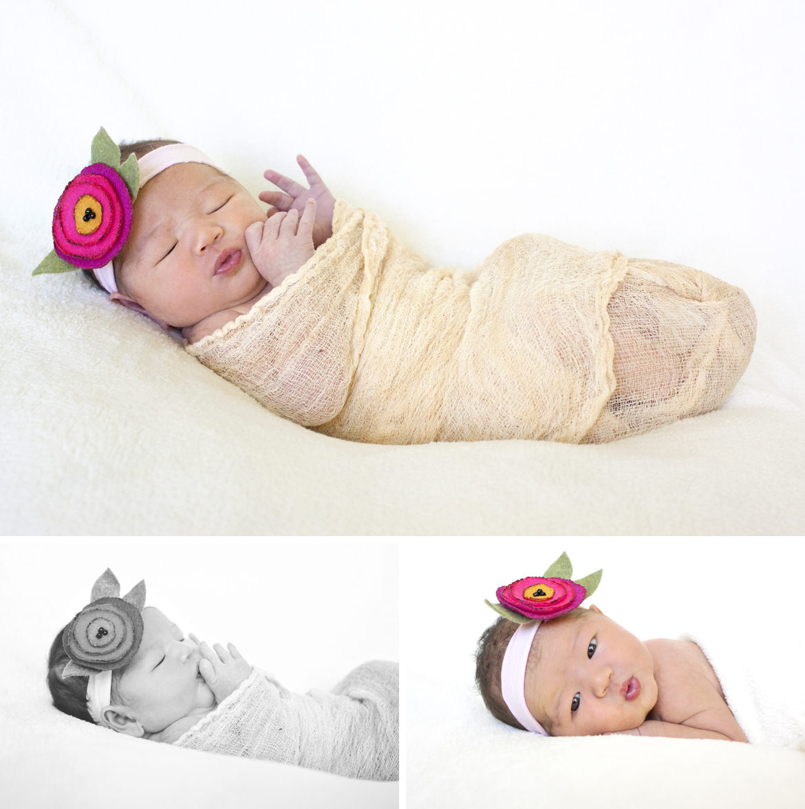 newborn photos nashville tn