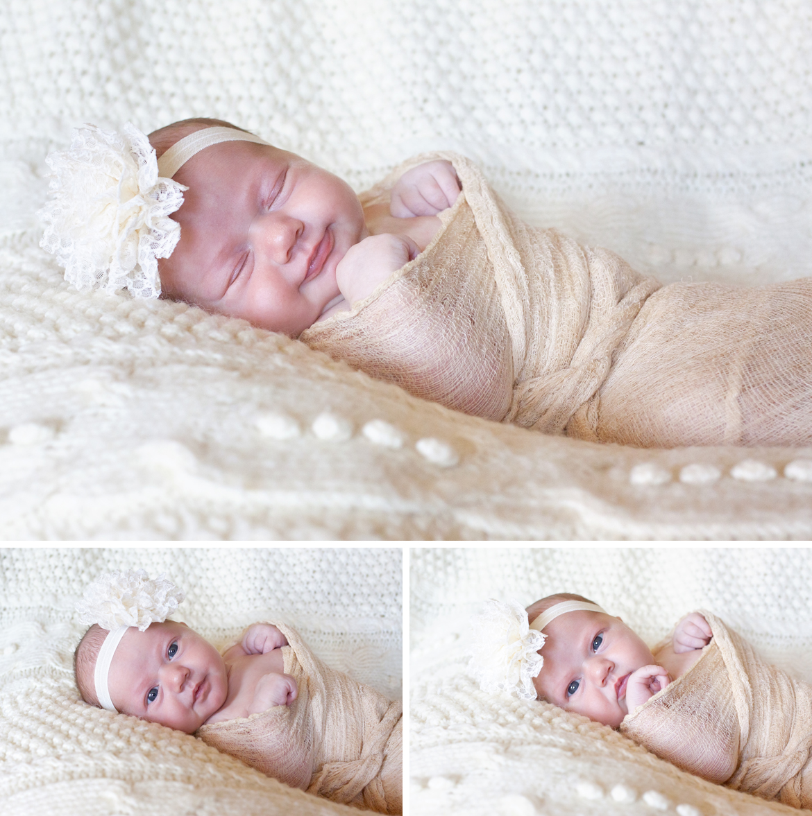 fairview newborn photography